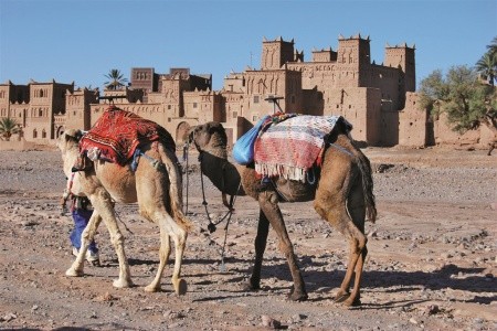 Invia – Okruh Marockým královstvím mezi Saharou, Atlasem a Atlantikem,  recenzie